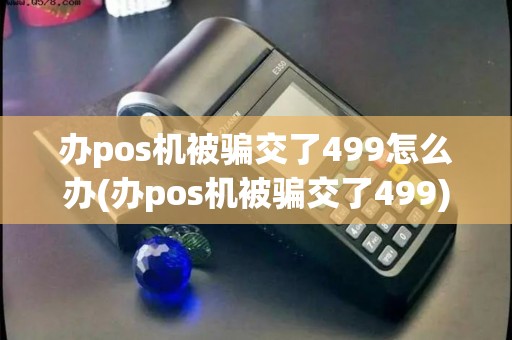 办pos机被骗交了499怎么办(办pos机被骗交了499)