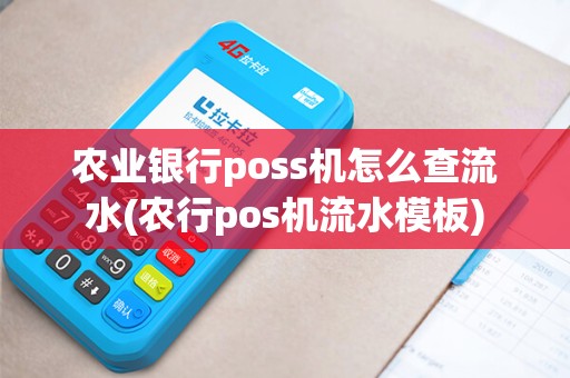 农业银行poss机怎么查流水(农行pos机流水模板)