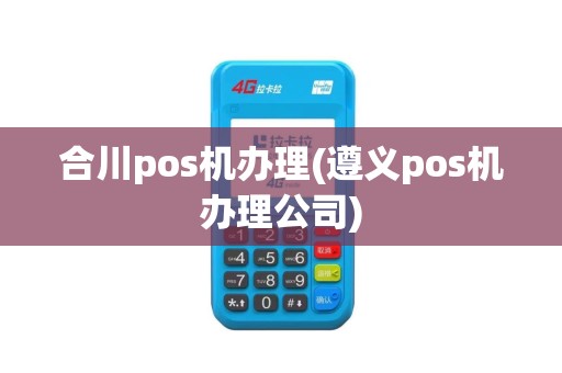 合川pos机办理(遵义pos机办理公司)