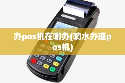 办pos机在哪办(响水办理pos机)