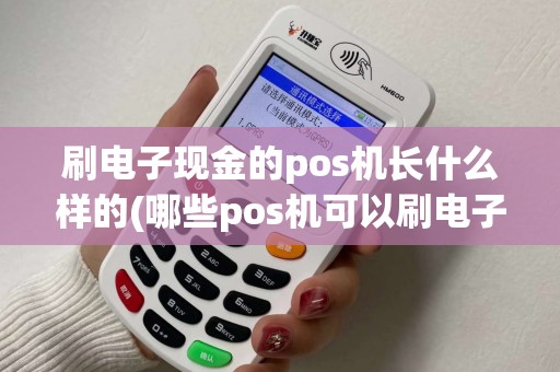 刷电子现金的pos机长什么样的(哪些pos机可以刷电子现金)