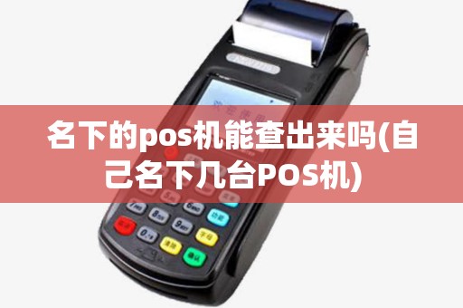 名下的pos机能查出来吗(自己名下几台POS机)
