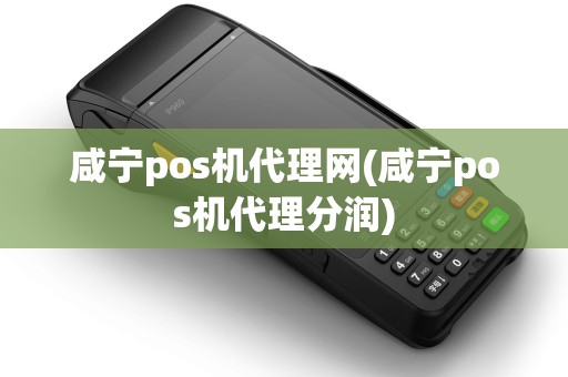 咸宁pos机代理网(咸宁pos机代理分润)