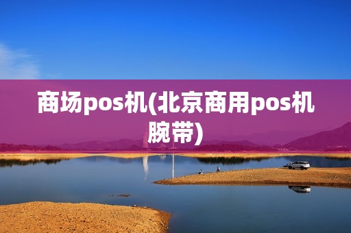 商场pos机(北京商用pos机腕带)