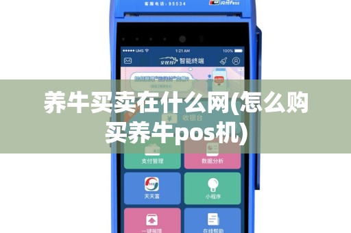 养牛买卖在什么网(怎么购买养牛pos机)