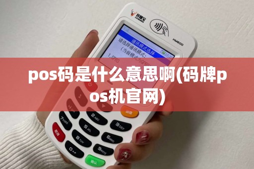 pos码是什么意思啊(码牌pos机官网)