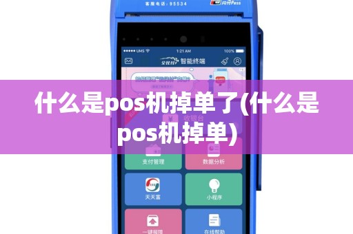 什么是pos机掉单了(什么是pos机掉单)