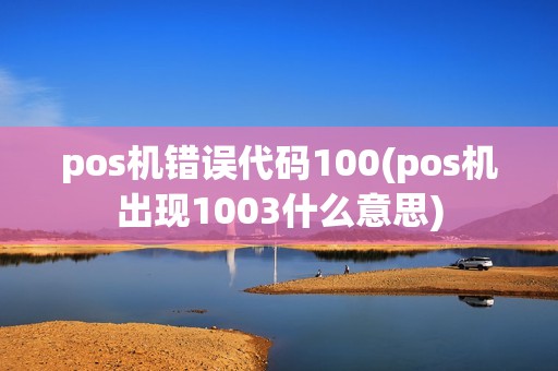 pos机错误代码100(pos机出现1003什么意思)