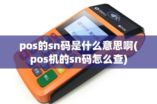 pos的sn码是什么意思啊(pos机的sn码怎么查)