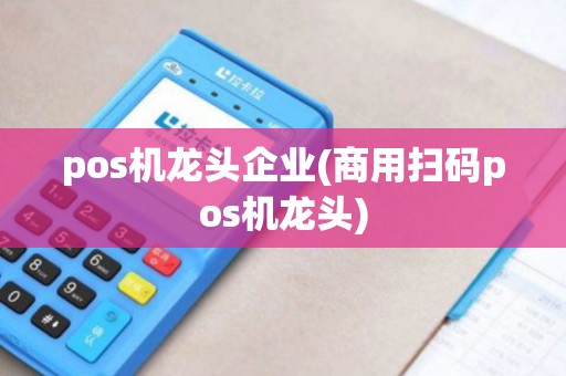 pos机龙头企业(商用扫码pos机龙头)