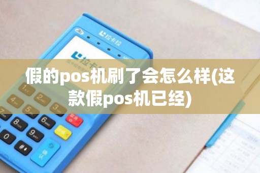 假的pos机刷了会怎么样(这款假pos机已经)