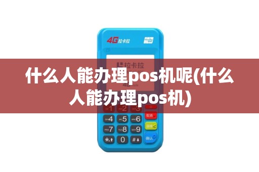 什么人能办理pos机呢(什么人能办理pos机)