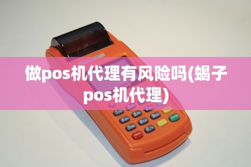 做pos机代理有风险吗(蝎子pos机代理)