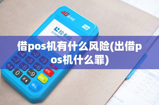 借pos机有什么风险(出借pos机什么罪)