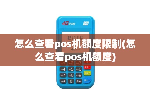 怎么查看pos机额度限制(怎么查看pos机额度)