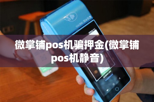 微掌铺pos机骗押金(微掌铺pos机静音)