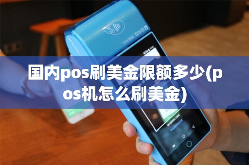 国内pos刷美金限额多少(pos机怎么刷美金)