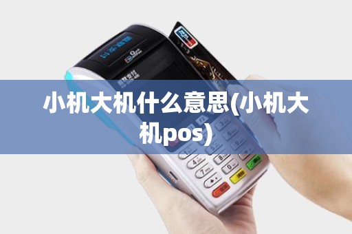 小机大机什么意思(小机大机pos)