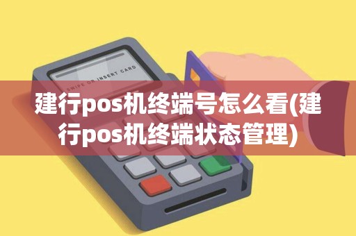 建行pos机终端号怎么看(建行pos机终端状态管理)