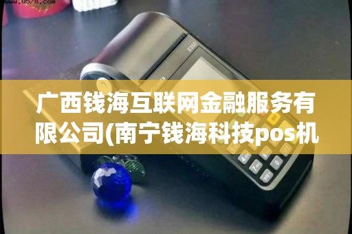 广西钱海互联网金融服务有限公司(南宁钱海科技pos机)