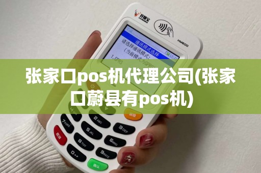 张家口pos机代理公司(张家口蔚县有pos机)