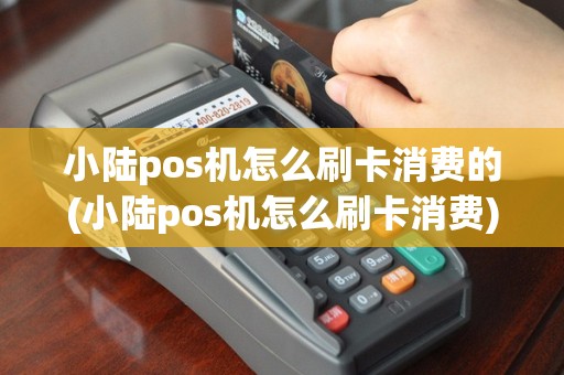 小陆pos机怎么刷卡消费的(小陆pos机怎么刷卡消费)