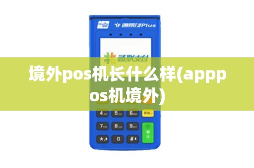 境外pos机长什么样(apppos机境外)
