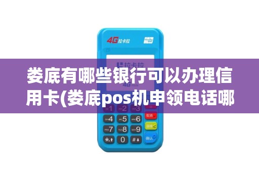娄底有哪些银行可以办理信用卡(娄底pos机申领电话哪家好)