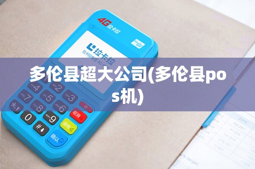 多伦县超大公司(多伦县pos机)