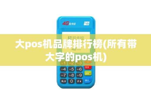 大pos机品牌排行榜(所有带大字的pos机)