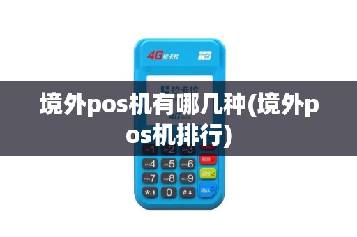 境外pos机有哪几种(境外pos机排行)