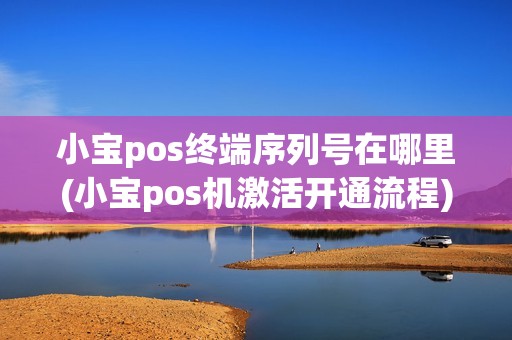 小宝pos终端序列号在哪里(小宝pos机激活开通流程)
