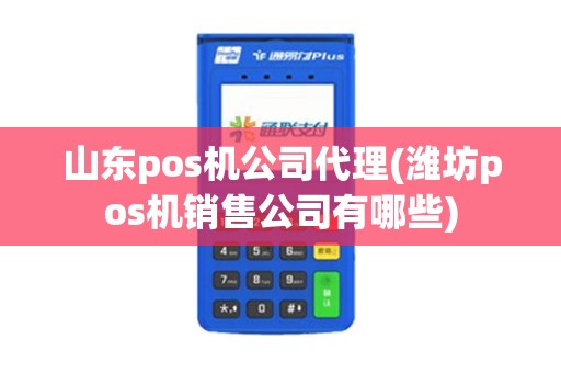山东pos机公司代理(潍坊pos机销售公司有哪些)