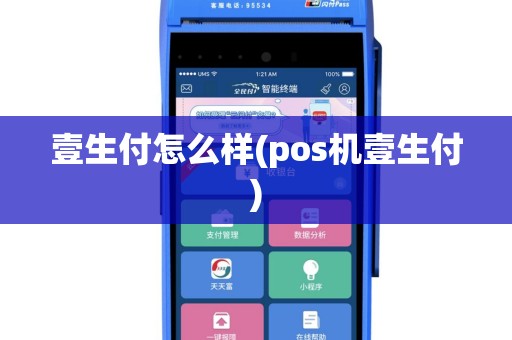 壹生付怎么样(pos机壹生付)