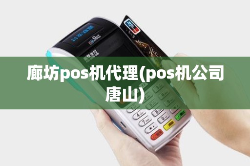 廊坊pos机代理(pos机公司唐山)