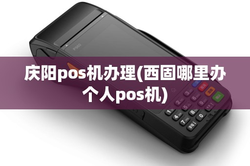 庆阳pos机办理(西固哪里办个人pos机)
