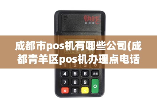 成都市pos机有哪些公司(成都青羊区pos机办理点电话)