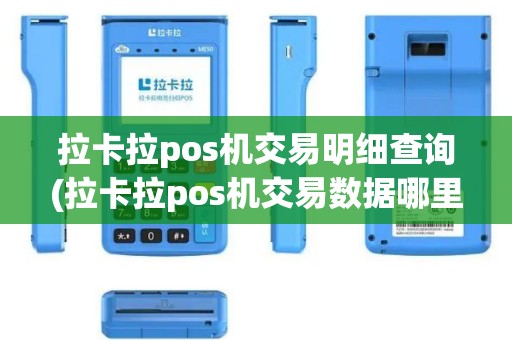 拉卡拉pos机交易明细查询(拉卡拉pos机交易数据哪里看)