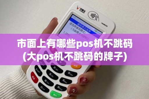 市面上有哪些pos机不跳码(大pos机不跳码的牌子)