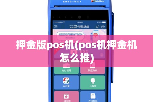 押金版pos机(pos机押金机怎么推)