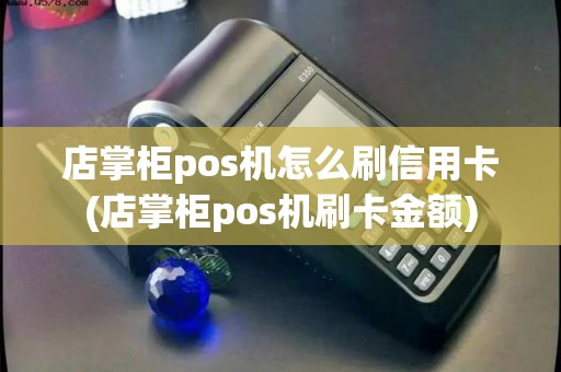 店掌柜pos机怎么刷信用卡(店掌柜pos机刷卡金额)