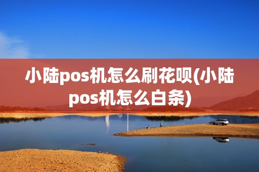 小陆pos机怎么刷花呗(小陆pos机怎么白条)