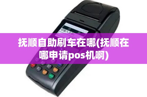 抚顺自助刷车在哪(抚顺在哪申请pos机啊)