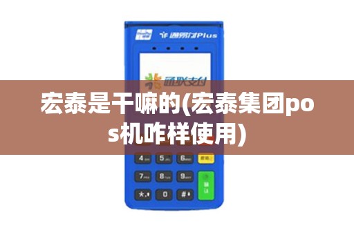 宏泰是干嘛的(宏泰集团pos机咋样使用)