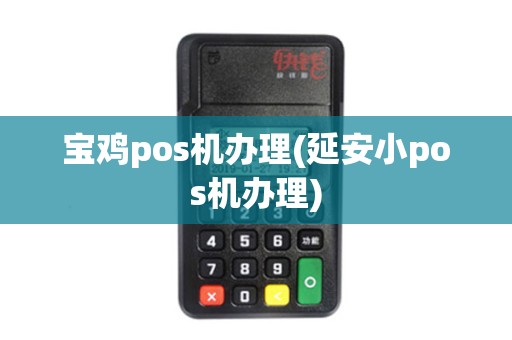 宝鸡pos机办理(延安小pos机办理)