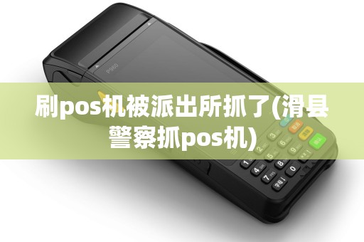 刷pos机被派出所抓了(滑县警察抓pos机)