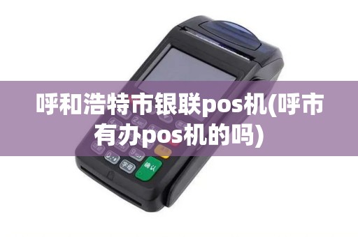 呼和浩特市银联pos机(呼市有办pos机的吗)