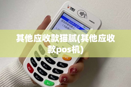 其他应收款猫腻(其他应收款pos机)