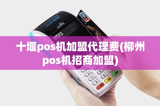 十堰pos机加盟代理费(柳州pos机招商加盟)