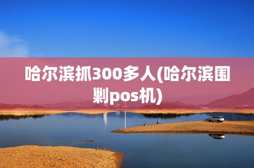 哈尔滨抓300多人(哈尔滨围剿pos机)